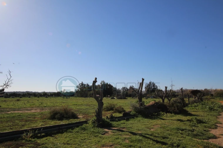 Moradia T6 para Venda em Odiaxere Foto 23