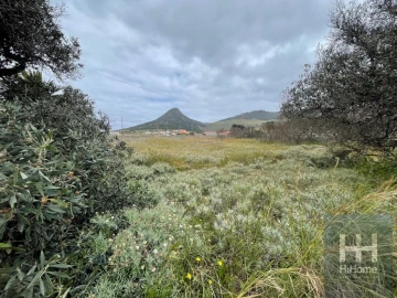 Moradia T2 para Venda em Porto Santo