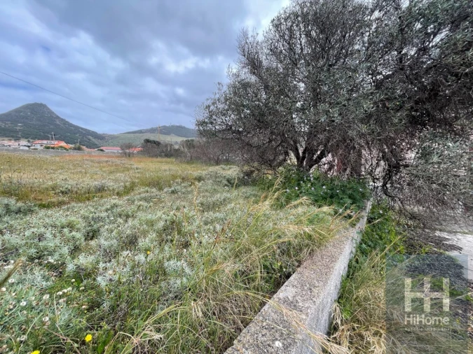 Moradia T2 para Venda em Porto Santo Foto 33