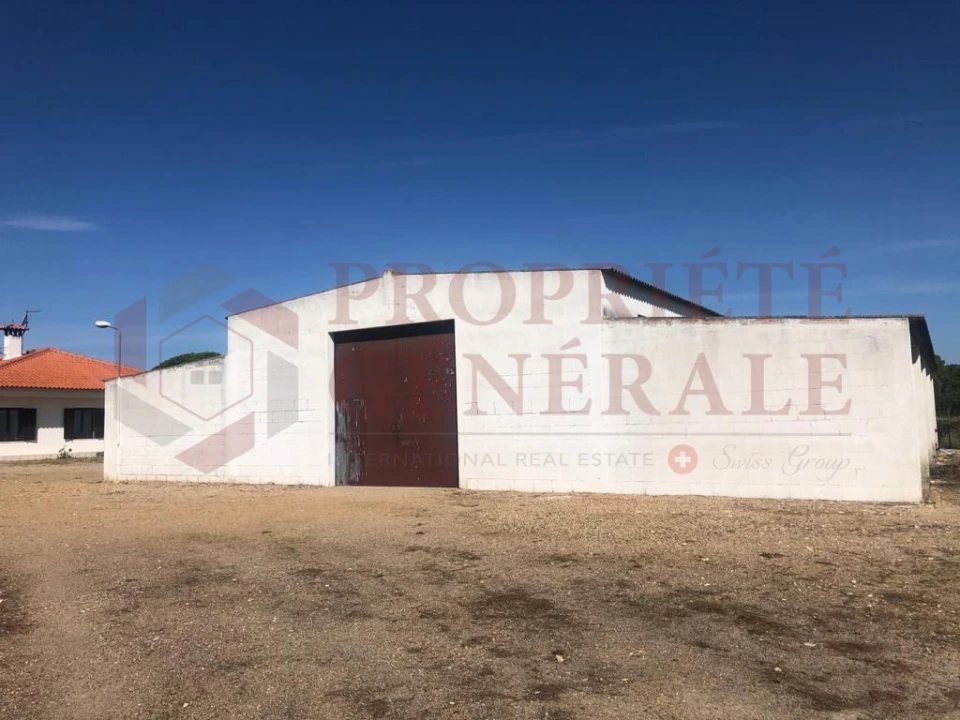 Quinta T4 para Venda em Torrão Foto 3