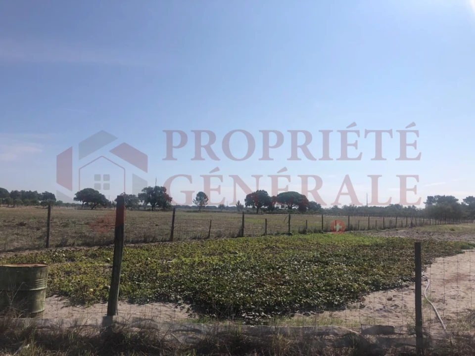 Quinta T4 para Venda em Torrão Foto 5