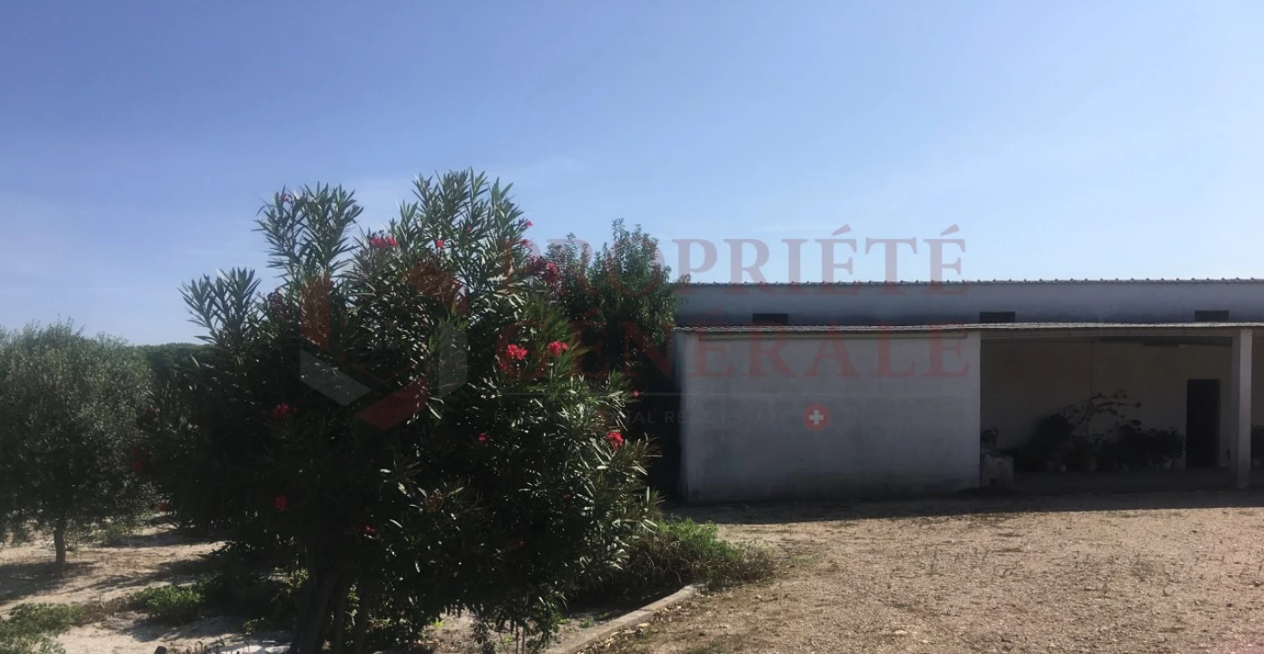 Quinta T4 para Venda em Torrão Foto 7