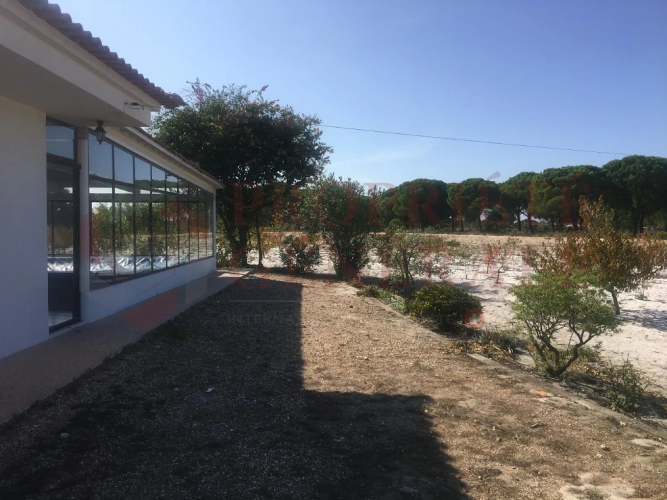 Quinta T4 para Venda em Torrão Foto 1