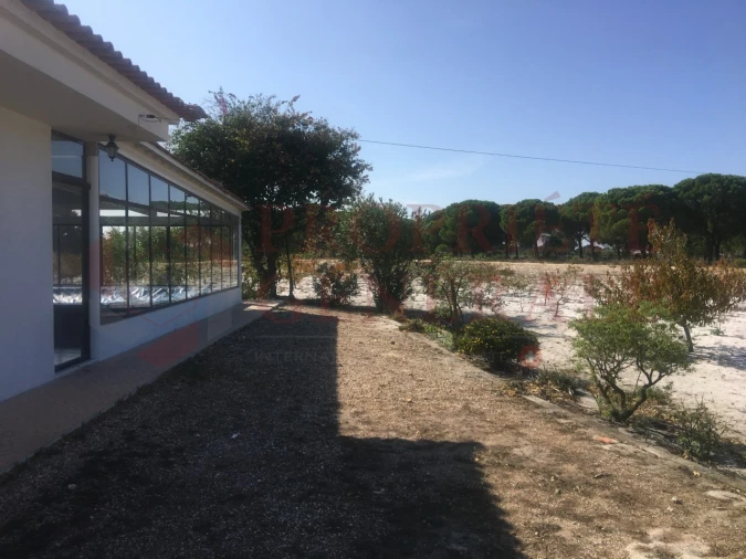 Quinta T4 para Venda em Torrão