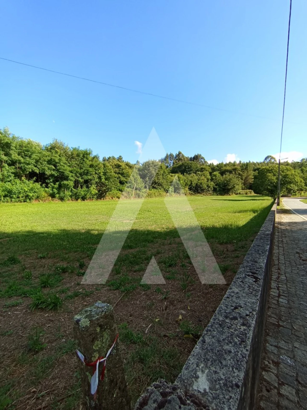 Terreno para Venda em Bordonhos Foto 4