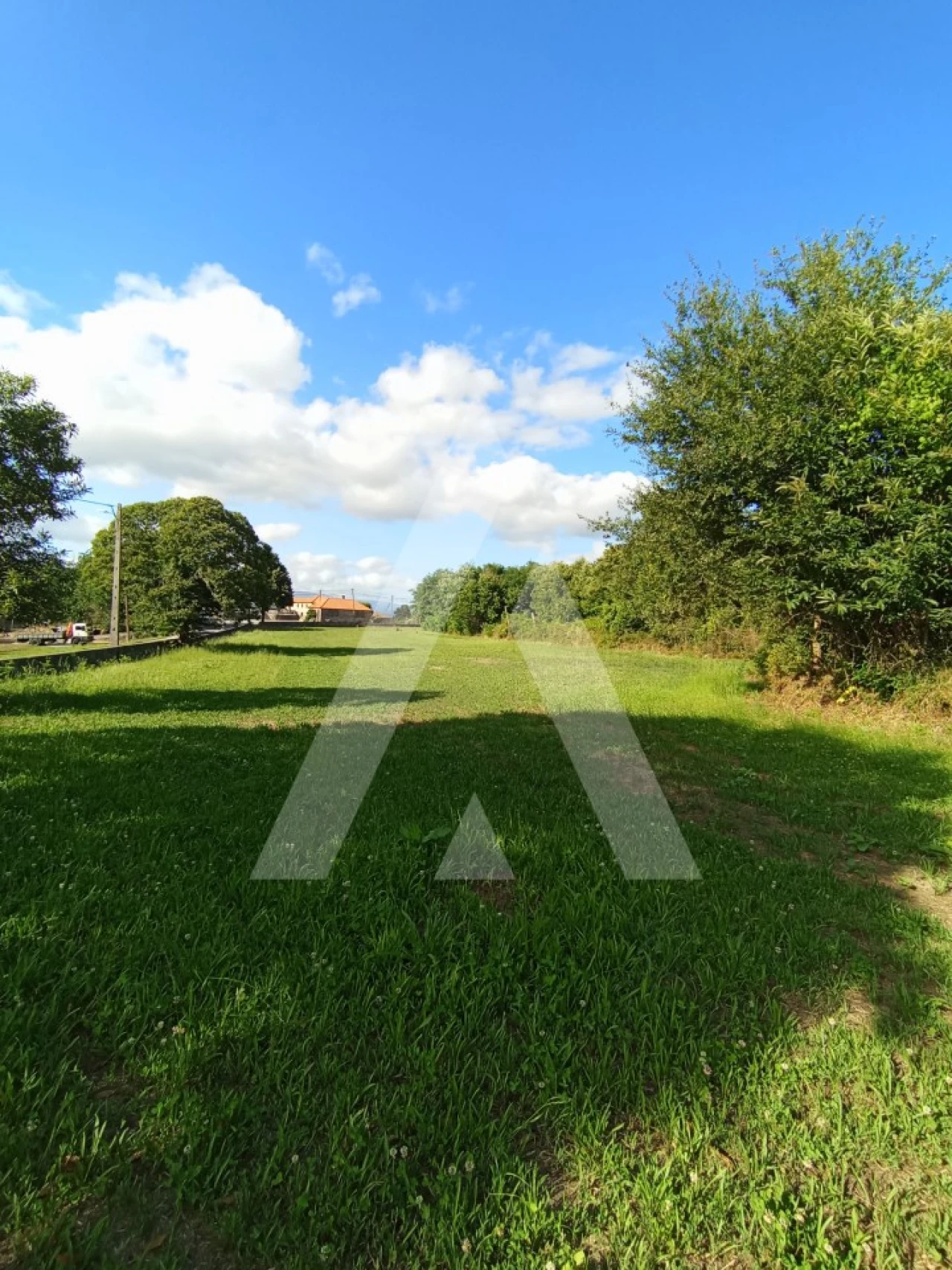 Terreno para Venda em Bordonhos Foto 3