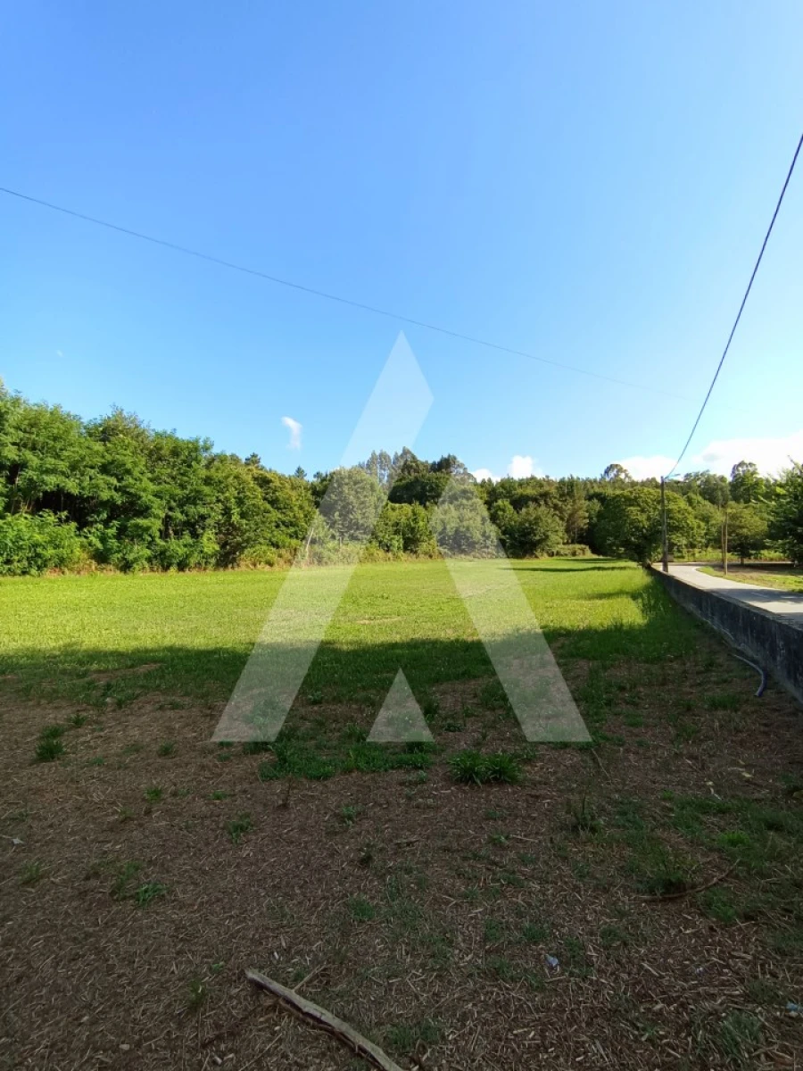 Terreno para Venda em Bordonhos Foto 6