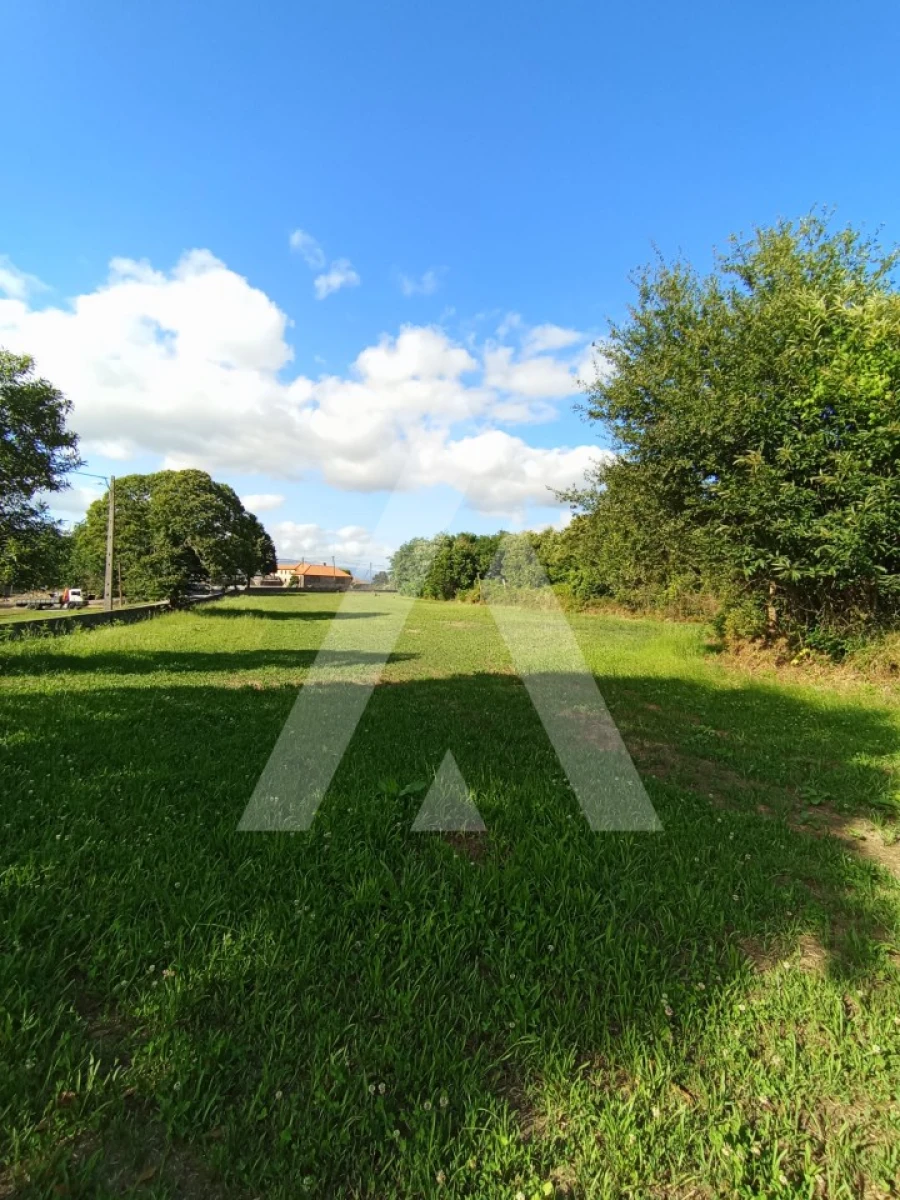 Terreno para Venda em Bordonhos Foto 3
