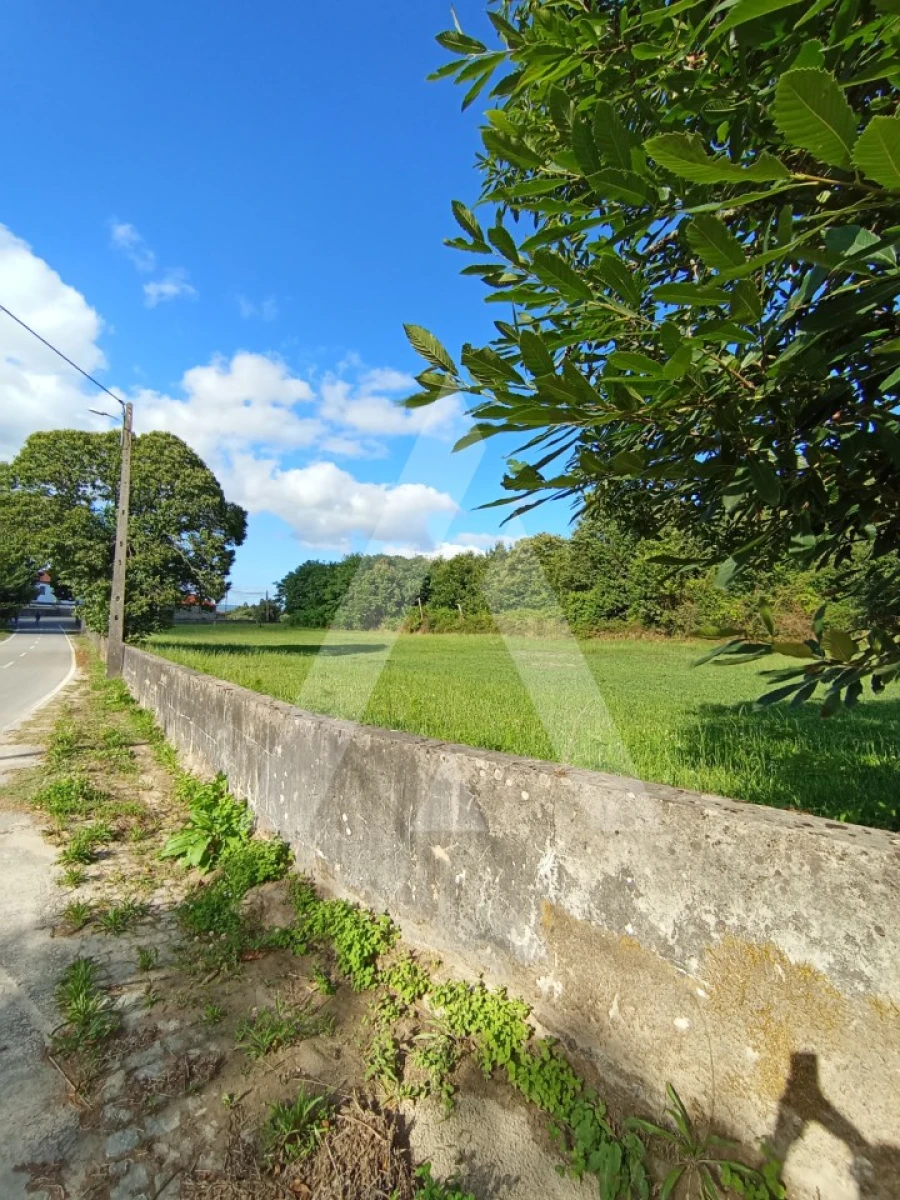 Terreno para Venda em Bordonhos
