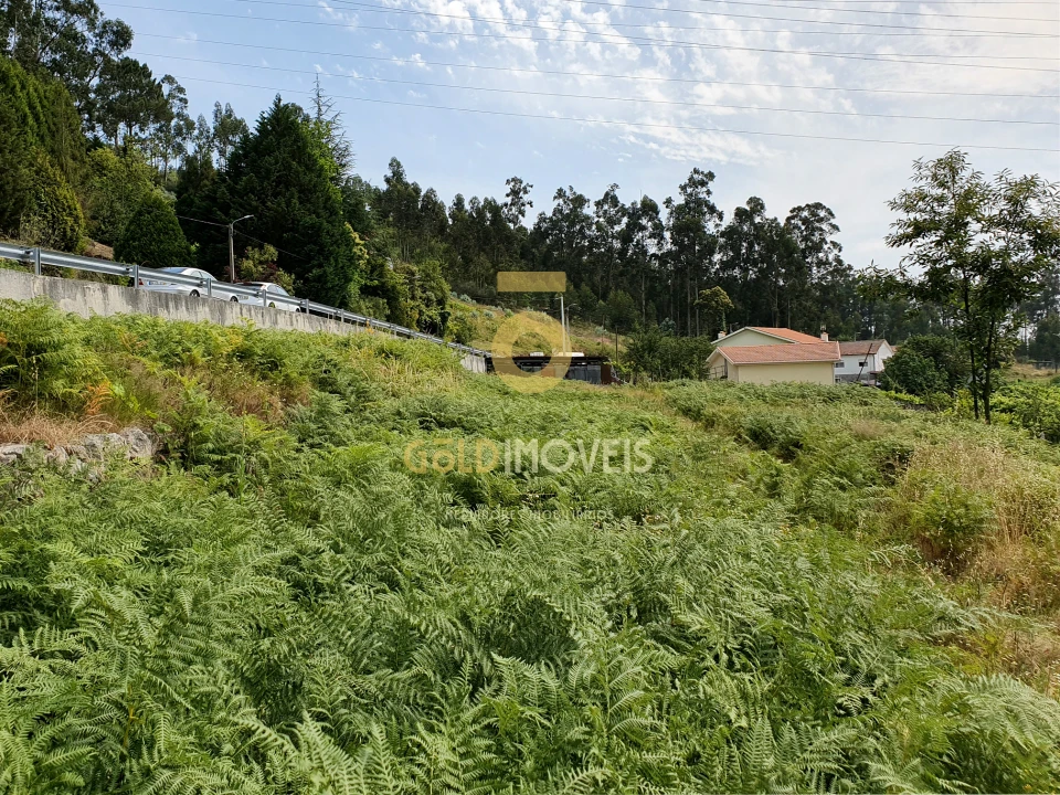 Terreno para Venda em Duas Igrejas Foto 7