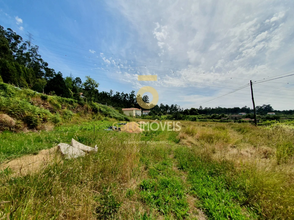 Terreno para Venda em Duas Igrejas Foto 9