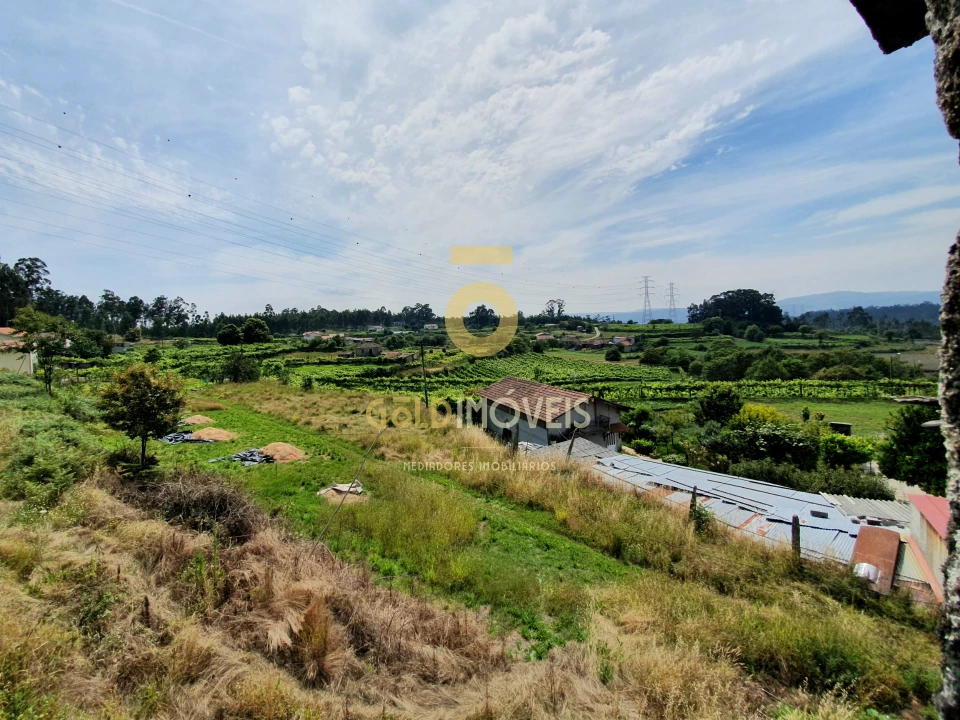 Terreno para Venda em Duas Igrejas Foto 10