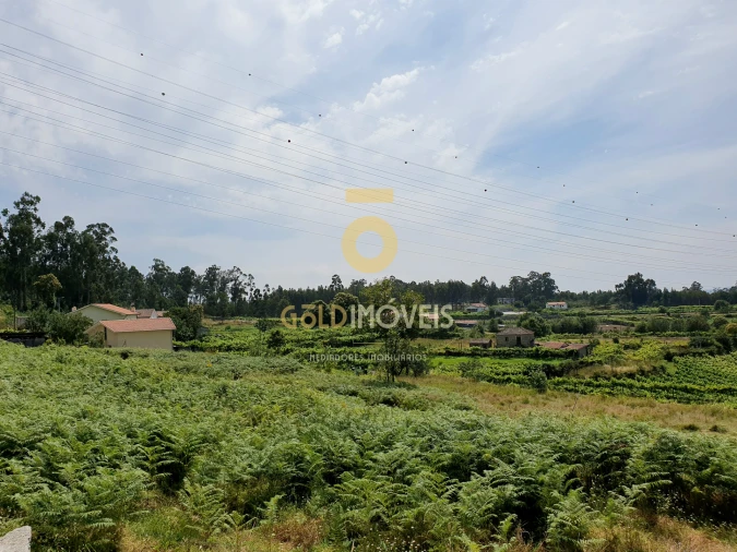 Terreno para Venda em Duas Igrejas Foto 6