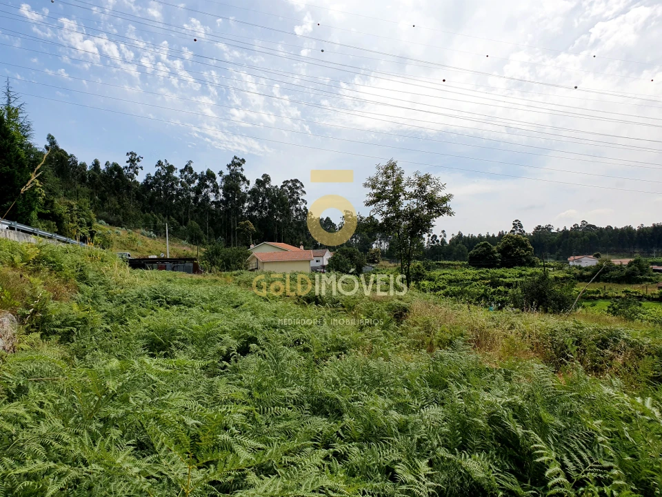 Terreno para Venda em Duas Igrejas Foto 8