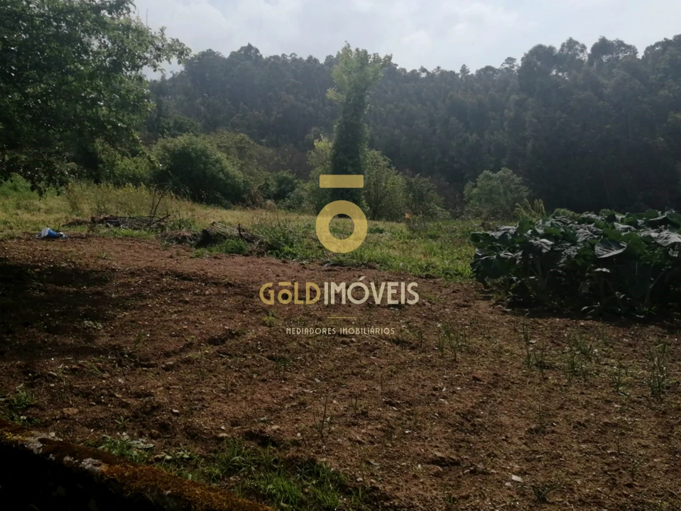 Terreno para Venda em Chave Foto 3