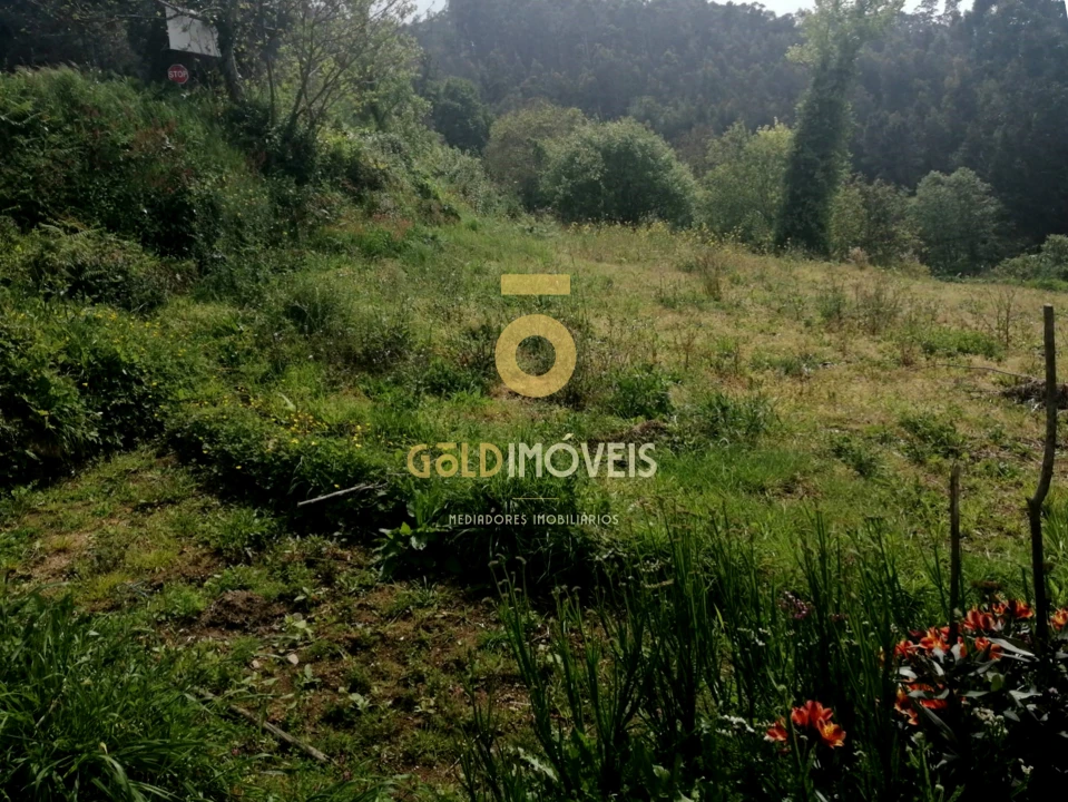 Terreno para Venda em Chave Foto 2