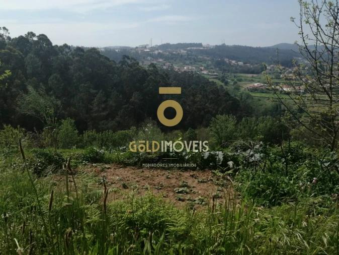 Terreno para Venda em Chave Foto 5