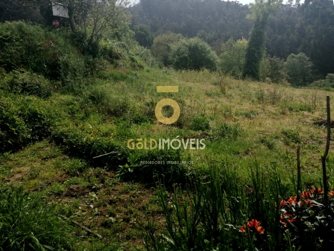 Terreno para Venda em Chave Foto 2