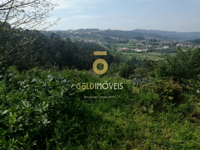 Terreno para Venda em Chave Foto 4