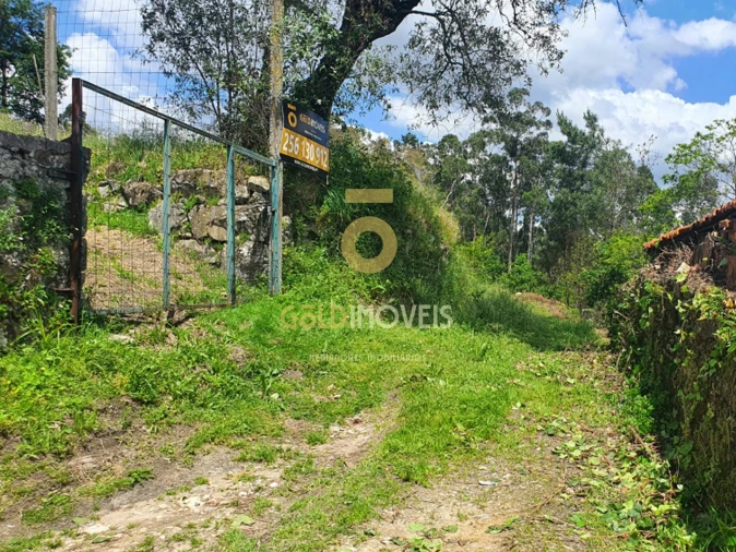 Terreno para Venda em Nogueira do Cravo e Pindelo