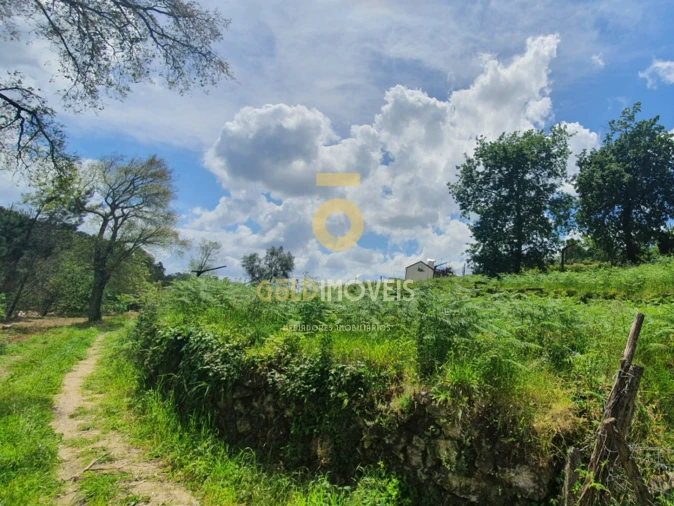 Terreno para Venda em Nogueira do Cravo e Pindelo Foto 2
