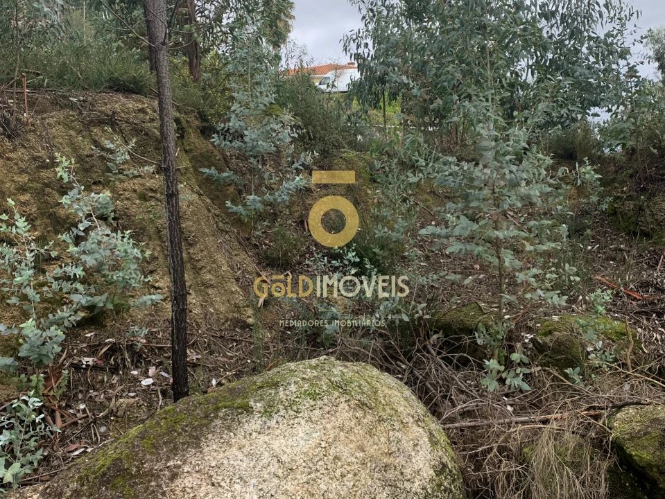 Terreno Comércio / Armazém para Venda em Sobrado e Bairros Foto 4