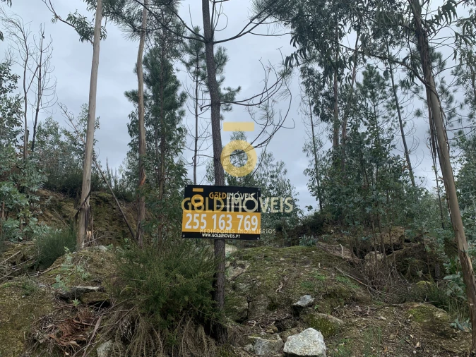 Terreno Comércio / Armazém para Venda em Sobrado e Bairros Foto 5