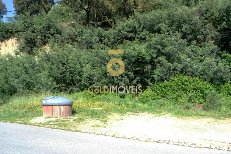 Terreno para Venda em São Martinho de Sardoura Foto 2