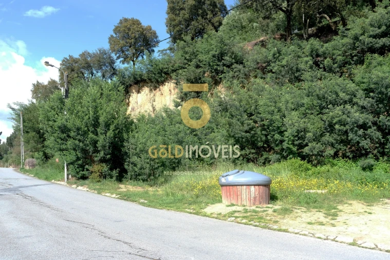 Terreno para Venda em São Martinho de Sardoura Foto 3