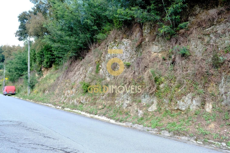 Terreno para Venda em São Martinho de Sardoura Foto 8
