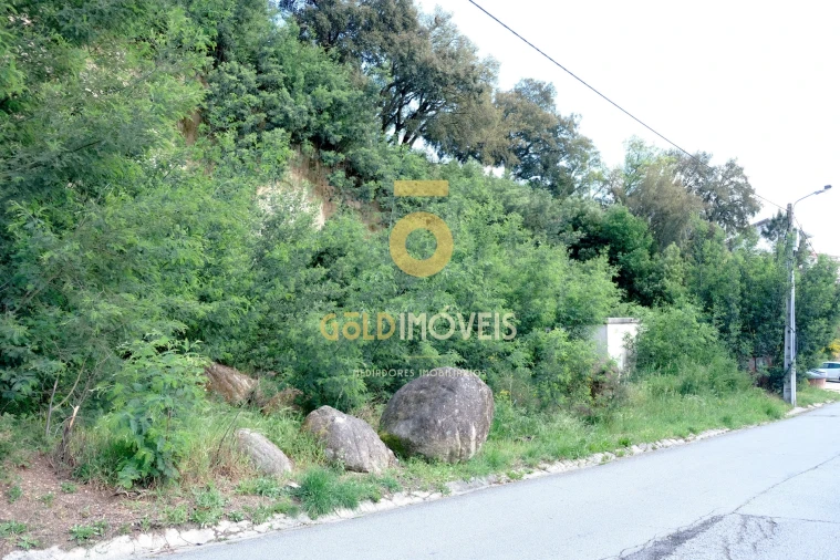 Terreno para Venda em São Martinho de Sardoura
