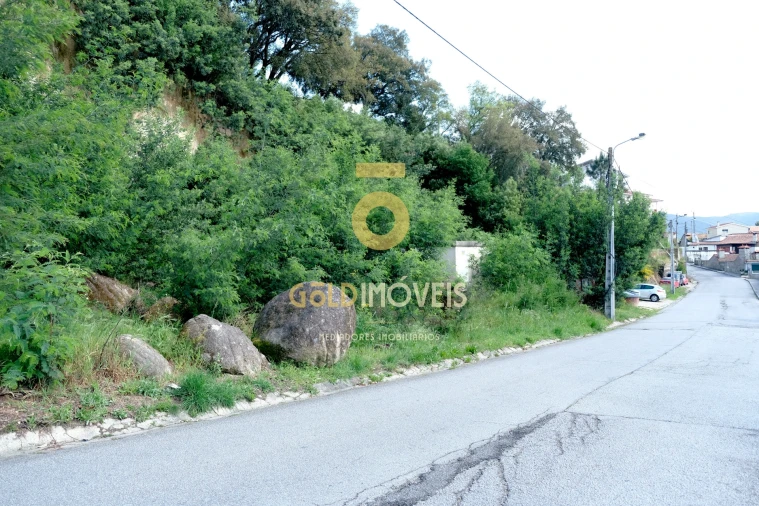 Terreno para Venda em São Martinho de Sardoura Foto 9