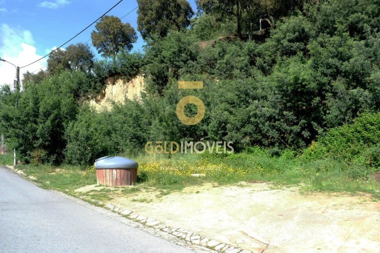 Terreno para Venda em São Martinho de Sardoura Foto 4