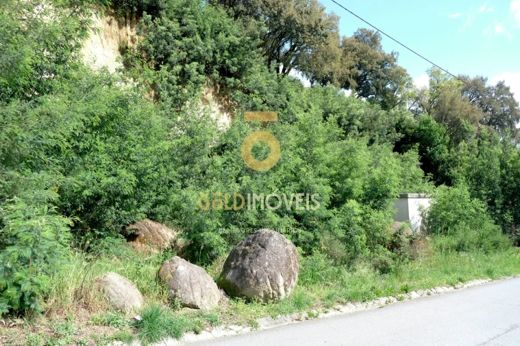 Terreno para Venda em São Martinho de Sardoura Foto 5