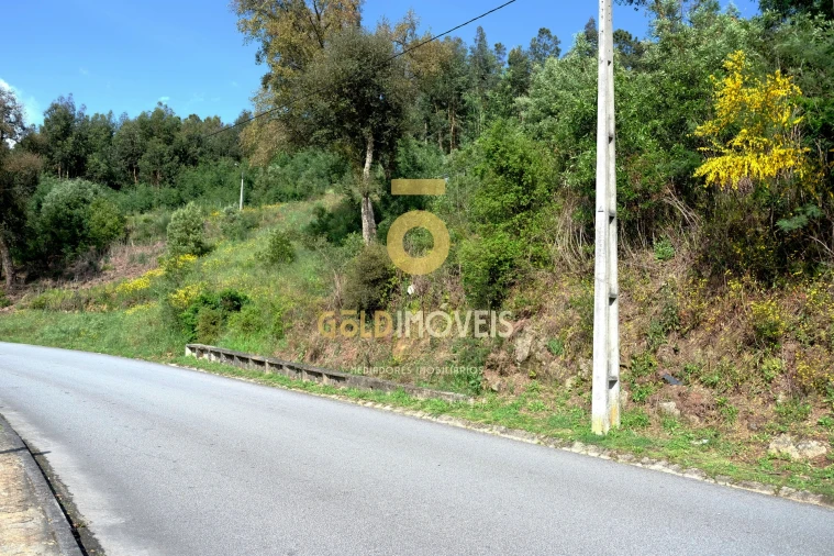 Terreno para Venda em São Martinho de Sardoura Foto 7