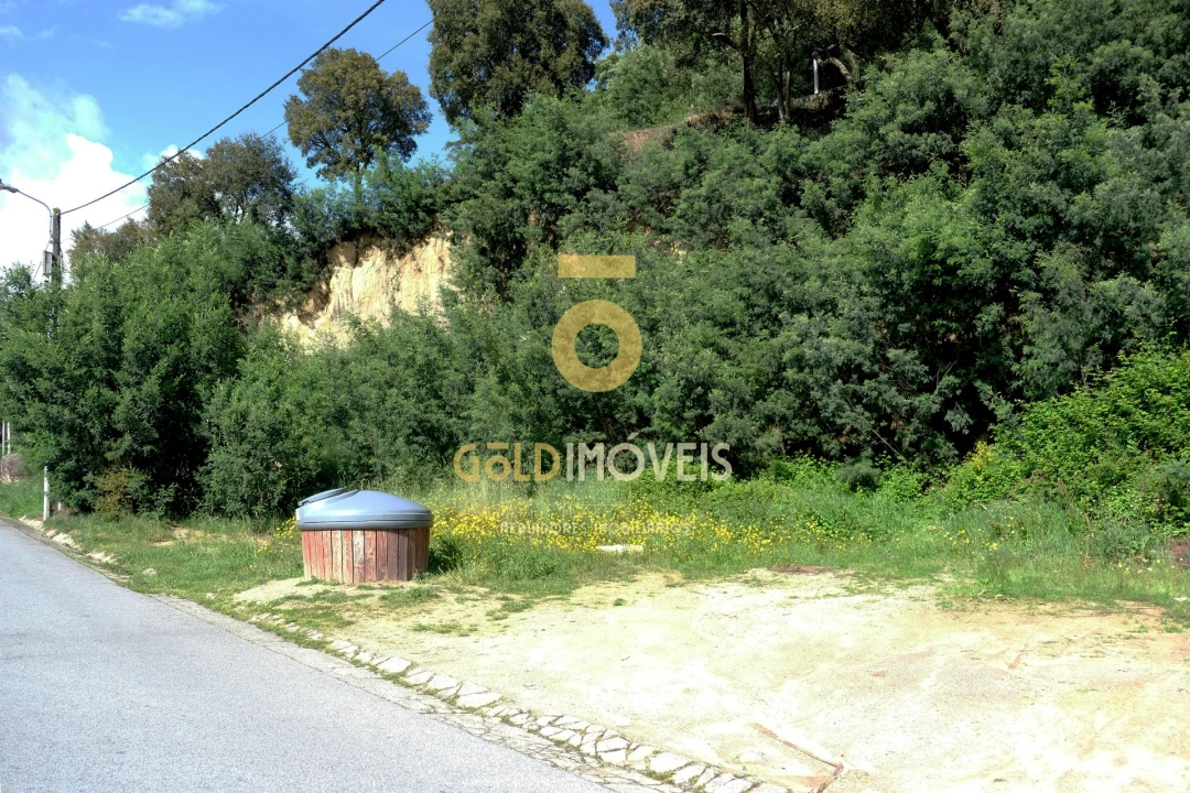 Terreno para Venda em São Martinho de Sardoura Foto 4