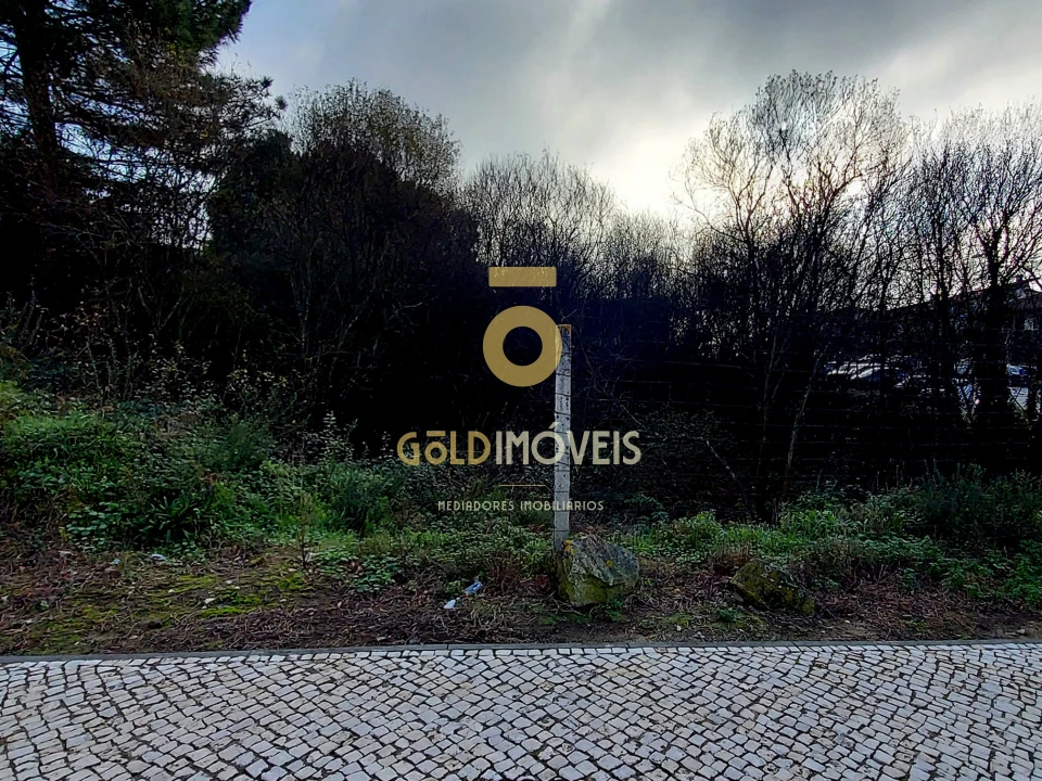 Terreno para Venda em O. Azeméis, Riba-Ul, Ul, Macinhata Seixa, Madail Foto 6