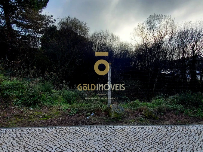 Terreno para Venda em O. Azeméis, Riba-Ul, Ul, Macinhata Seixa, Madail Foto 6