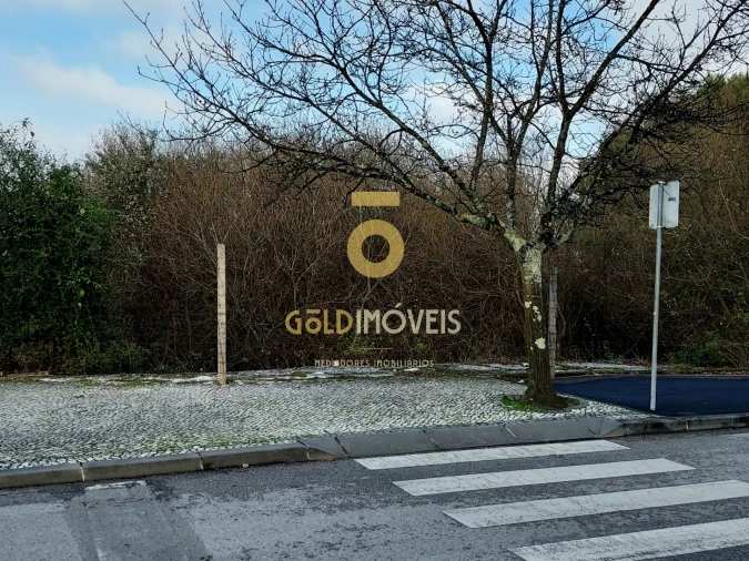 Terreno para Venda em O. Azeméis, Riba-Ul, Ul, Macinhata Seixa, Madail Foto 2