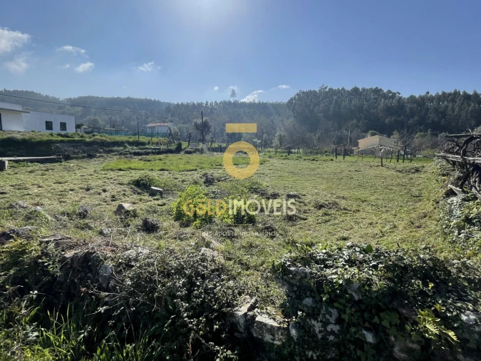 Terreno para Venda em Fornelos Foto 4