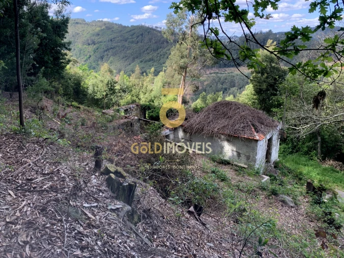 Moradia T0 para Venda em Souselo Foto 6