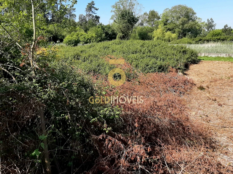 Terreno para Venda em Pinheiro da Bemposta, Travanca e Palmaz Foto 42