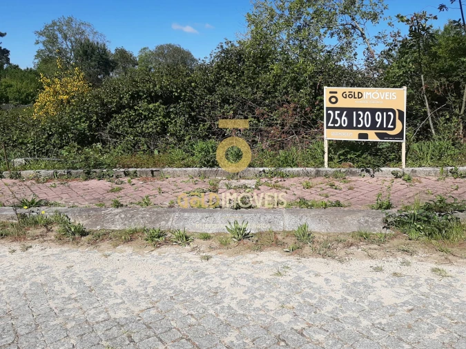 Terreno para Venda em Pinheiro da Bemposta, Travanca e Palmaz Foto 43