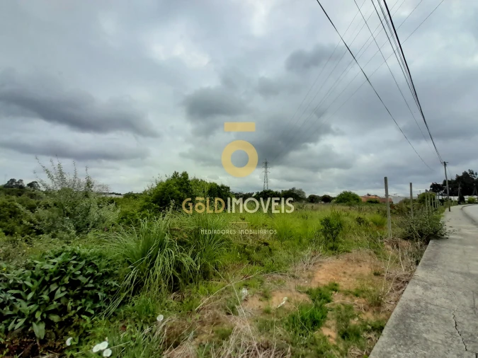 Terreno para Venda em Anta e Guetim
