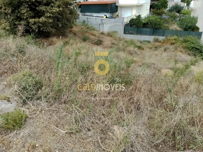 Terreno para Venda em Sobrado e Bairros Foto 4
