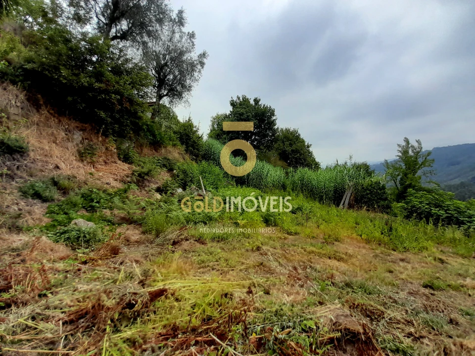 Moradia T0 para Venda em Souselo Foto 15