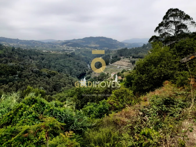 Moradia T0 para Venda em Souselo Foto 13