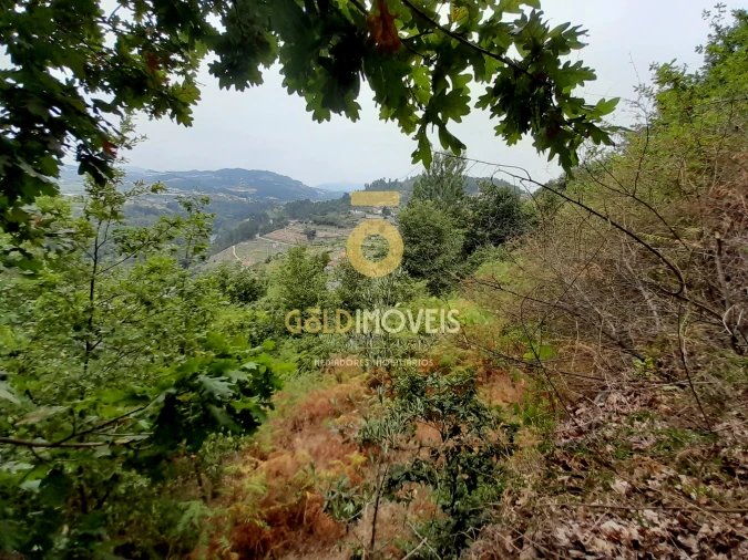 Moradia T0 para Venda em Souselo Foto 19