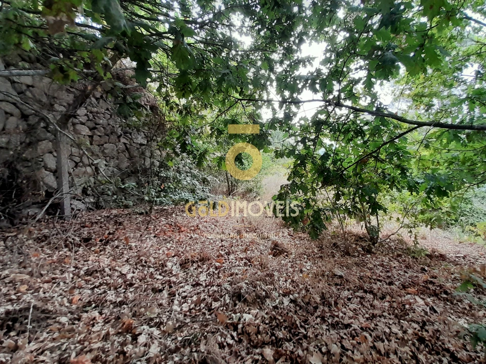 Moradia T0 para Venda em Souselo Foto 20