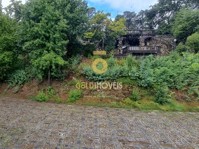 Quinta T19 para Venda em O. Azeméis, Riba-Ul, Ul, Macinhata Seixa, Madail Foto 22